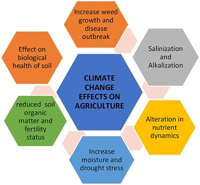 Climate Change and Salinity Effects on Crops and Chemical Communication Between Plants and Plant Growth-Promoting Microorganisms Under Stress